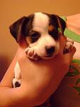     
: DSC02865.jpg
: 8
:	65.7 
ID:	5467908