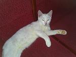     
: IMG211.jpg
: 9
:	106.6 
ID:	5467917