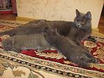     
: IMG_3883.jpg
: 5
:	165.1 
ID:	5470103