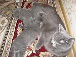     
: IMG_3889.jpg
: 6
:	196.5 
ID:	5470110