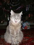     
: PC280003.jpg
: 5
:	98.9 
ID:	5470398
