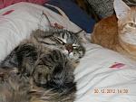     
: DSCN1947.jpg
: 8
:	173.7 
ID:	5470530