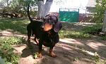     
: t3aeA8UqSDA.jpg
: 40
:	194.3 
ID:	5470626
