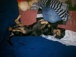     
: pMBKnWvssNU.jpg
: 31
:	197.6 
ID:	5470628