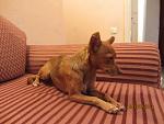     
: IMG_0518.jpg
: 18
:	124.7 
ID:	5470837