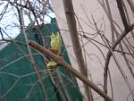     
: DSC06426.jpg
: 4
:	99.1 
ID:	5471558