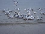     
: DSC07278.jpg
: 15
:	98.5 
ID:	5471985