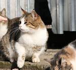     
:  IMG_3894.jpg
: 10
:	94.3 
ID:	5476314