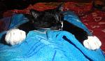     
: DSC05362.JPG
: 7
:	113.5 
ID:	5476411
