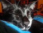     
: DSC05363 - .JPG
: 7
:	149.3 
ID:	5476412