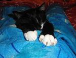     
: DSC05367.JPG
: 6
:	141.7 
ID:	5476431
