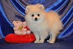     
: DSC_0020.JPG
: 15
:	145.2 
ID:	5476476