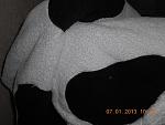     
: DSCN0979.JPG
: 22
:	108.4 
ID:	5476978