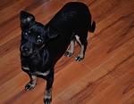     
: DSC_0007.jpg
: 16
:	99.2 
ID:	5478049