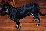     
: DSC_0013.jpg
: 15
:	118.8 
ID:	5478051
