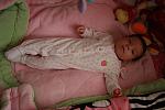     
: IMG_2187.jpg
: 5
:	105.5 
ID:	5478738