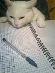     
: Фото0411.jpg
: 1
:	76.3 
ID:	5479510