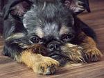     
: DSCF0022.jpg
: 9
:	161.4 
ID:	5479522