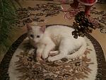     
: IMG-20130106-WA0002.jpg
: 12
:	81.0 
ID:	5479620