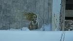     
: A5etZaCjM5Q.jpg
: 19
:	140.1 
ID:	5480604