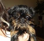     
: Безымянный2.jpg
: 10
:	81.7 
ID:	5481127