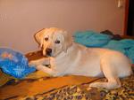     
: DSC02129.jpg
: 27
:	111.5 
ID:	548605