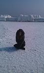     
: x_4b48dc17.jpg
: 15
:	40.9 
ID:	5486117
