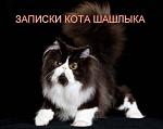     
: s40879639.jpg
: 2
:	12.4 
ID:	5486392