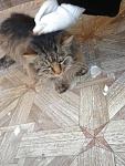     
: aWvTzlFfpm4.jpg
: 36
:	158.5 
ID:	5486421
