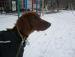     
: P1090463.jpg
: 21
:	102.8 
ID:	5490522