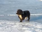     
: P1010965.jpg
: 6
:	122.9 
ID:	5492270