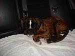     
: DSC02611.jpg
: 61
:	110.6 
ID:	549273