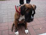     
: DSC02591.jpg
: 74
:	106.4 
ID:	549277