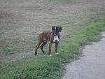     
: DSC02605.jpg
: 70
:	180.1 
ID:	549285