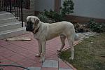     
: DSC_5164.jpg
: 20
:	134.0 
ID:	5493311
