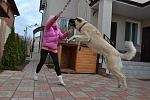     
: DSC_0128.jpg
: 24
:	145.1 
ID:	5494413