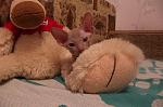     
: DSCF3381.jpg
: 8
:	126.4 
ID:	5497356