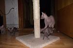     
: DSCF3464.jpg
: 6
:	77.4 
ID:	5497365