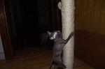     
: DSCF3463.jpg
: 9
:	79.3 
ID:	5497370