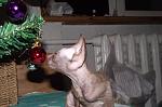     
: DSCF3414.jpg
: 7
:	111.5 
ID:	5497375