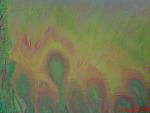     
: DSC02559.JPG
: 12
:	51.2 
ID:	5497415