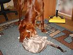     
: DSC07311.jpg
: 26
:	191.6 
ID:	5497566