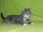     
: DSCN2432.jpg
: 5
:	125.7 
ID:	5498850