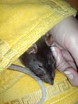     
: DSC00053.jpg
: 7
:	96.4 
ID:	5499491