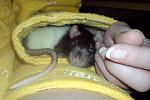     
: DSC00052.jpg
: 4
:	92.7 
ID:	5499494