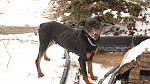     
: DSC04577 copy.jpg
: 21
:	74.2 
ID:	5499994