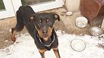     
: DSC04581 copy.jpg
: 17
:	60.3 
ID:	5500022