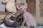     
: DSCF3512.jpg
: 3
:	103.6 
ID:	5501565