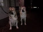     
: SNC00533.jpg
: 7
:	103.1 
ID:	5502962