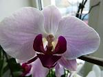     
: P1000568.jpg
: 1
:	74.5 
ID:	5503019